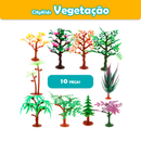 Vegetação